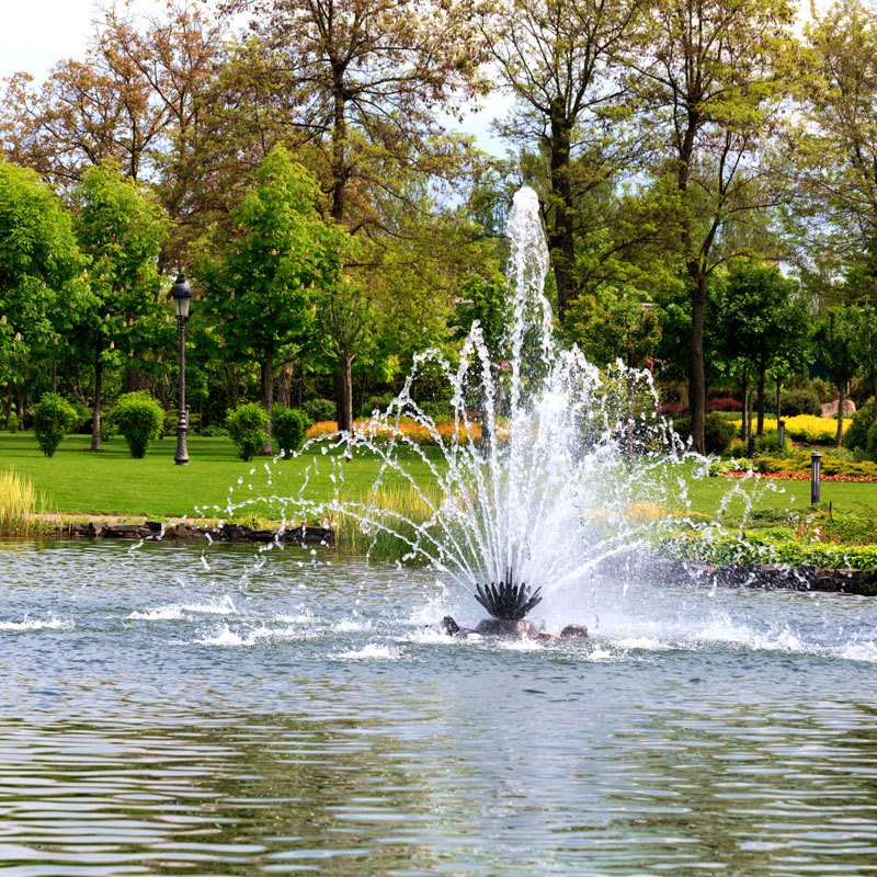 Pond and Lake