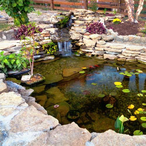 Pond-Free