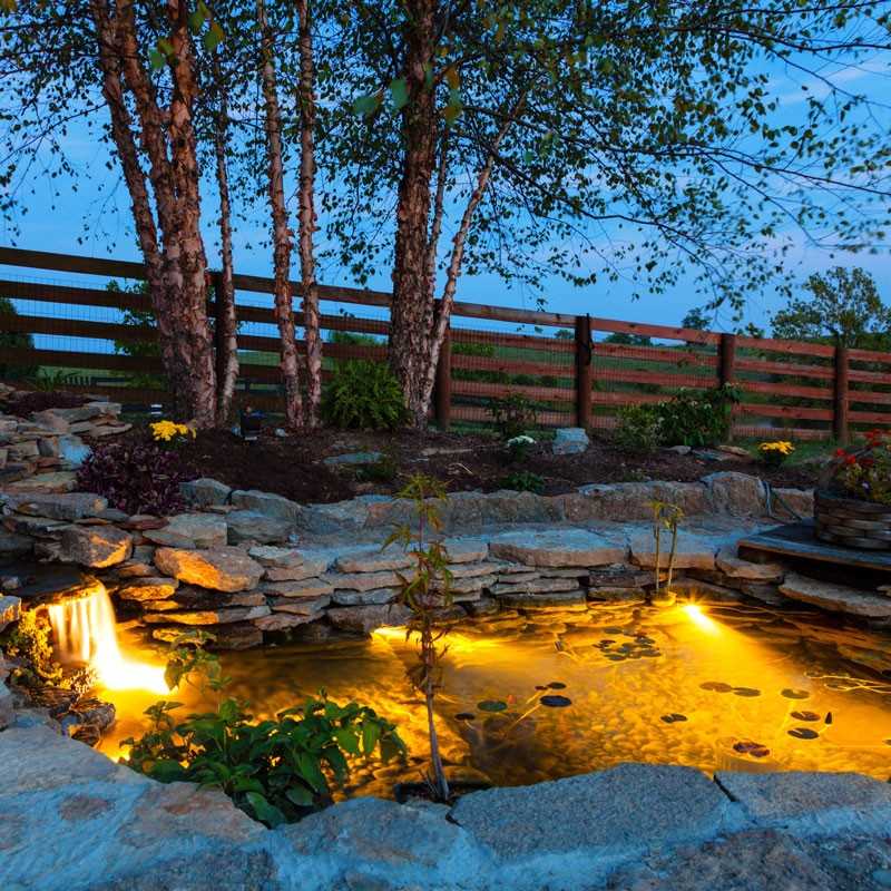 Pond Lighting