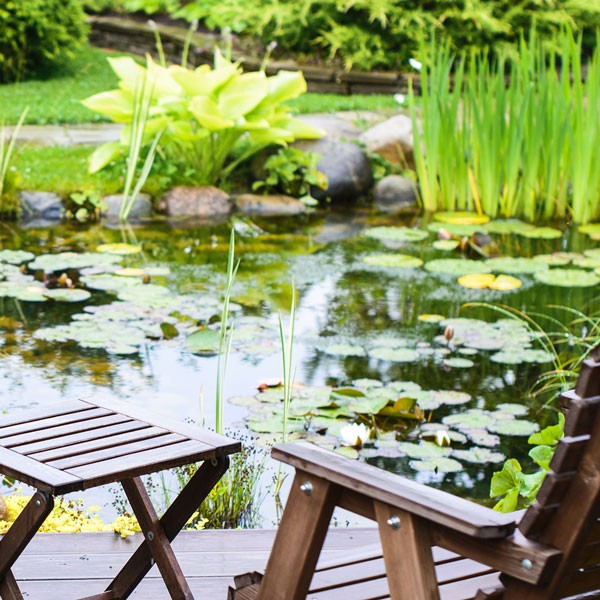 Pond Maintenance