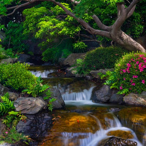 Pond Filtration