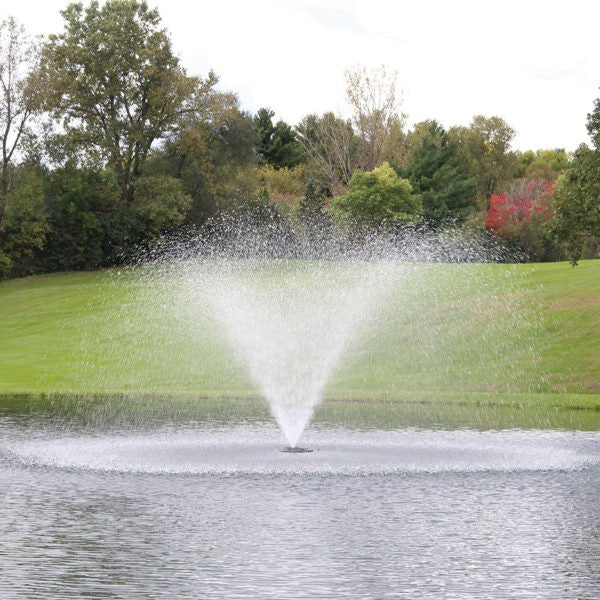 KASCO 2 HP AERATING FTN 100' CORD 240V image 4