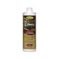 EASYPRO ALL SEASON LIQUID BACTERIA 16 OZ image 0